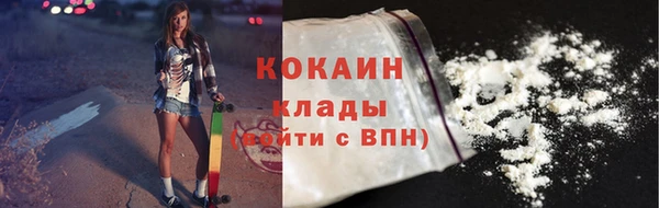 индика Абинск