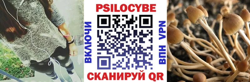 Галлюциногенные грибы MAGIC MUSHROOMS  Черемхово 